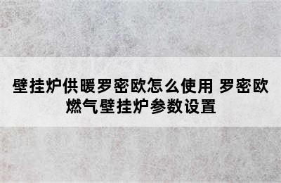 壁挂炉供暖罗密欧怎么使用 罗密欧燃气壁挂炉参数设置